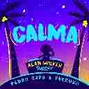 Calma (Alan Walker Remix)