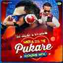 Mera Dil Ye Pukare (House Mix)