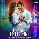 Tu Mile Dil Khile (Club Mix)