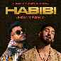 Habibi (Indian Remix)