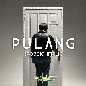 Pulang (Robbighfirlii)