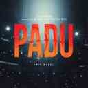 Padu