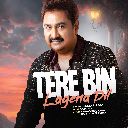 Tere Bin Lagena Dil