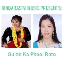 Various Artists - Gulab Ko Phool Rato